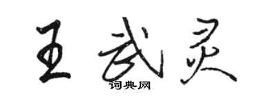 骆恒光王武灵行书个性签名怎么写