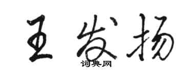 骆恒光王发扬行书个性签名怎么写