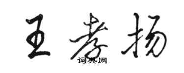 骆恒光王孝扬行书个性签名怎么写