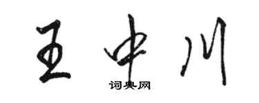 骆恒光王中川行书个性签名怎么写