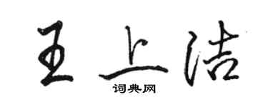 骆恒光王上洁行书个性签名怎么写