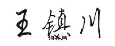 骆恒光王镇川行书个性签名怎么写