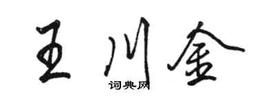 骆恒光王川金行书个性签名怎么写