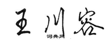 骆恒光王川容行书个性签名怎么写
