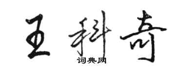 骆恒光王科奇行书个性签名怎么写