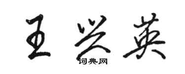 骆恒光王兴英行书个性签名怎么写