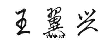 骆恒光王翼兴行书个性签名怎么写