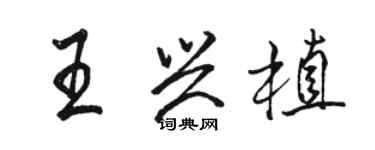 骆恒光王兴植行书个性签名怎么写
