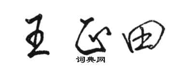 骆恒光王正田行书个性签名怎么写