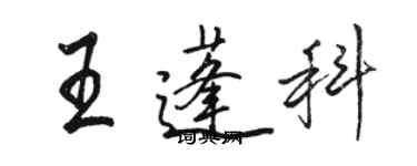 骆恒光王蓬科行书个性签名怎么写