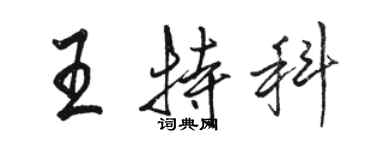 骆恒光王特科行书个性签名怎么写