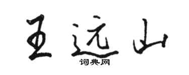 骆恒光王远山行书个性签名怎么写