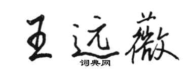 骆恒光王远薇行书个性签名怎么写