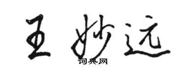 骆恒光王妙远行书个性签名怎么写