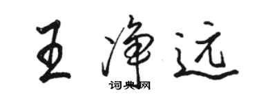 骆恒光王净远行书个性签名怎么写