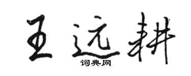 骆恒光王远耕行书个性签名怎么写