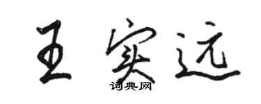 骆恒光王实远行书个性签名怎么写