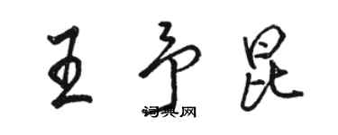 骆恒光王予昆行书个性签名怎么写