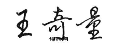 骆恒光王奇量行书个性签名怎么写