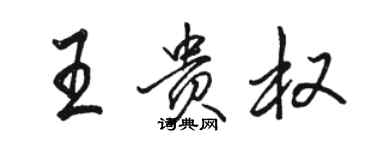 骆恒光王贵权行书个性签名怎么写