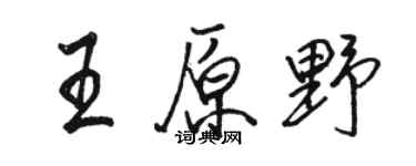 骆恒光王原野行书个性签名怎么写