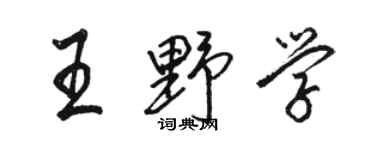 骆恒光王野学行书个性签名怎么写