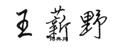 骆恒光王薪野行书个性签名怎么写