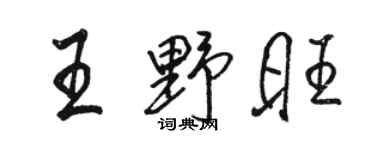 骆恒光王野旺行书个性签名怎么写