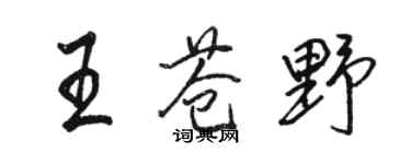骆恒光王苍野行书个性签名怎么写