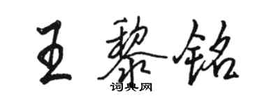 骆恒光王黎铭行书个性签名怎么写