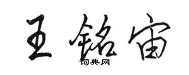 骆恒光王铭宙行书个性签名怎么写