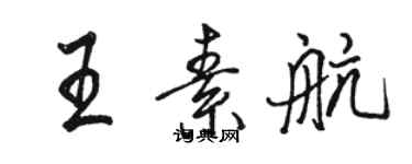 骆恒光王素航行书个性签名怎么写