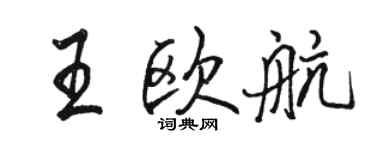 骆恒光王欧航行书个性签名怎么写