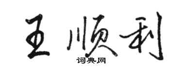 骆恒光王顺利行书个性签名怎么写