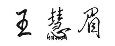 骆恒光王慧眉行书个性签名怎么写