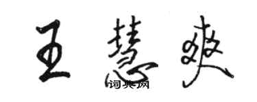 骆恒光王慧爽行书个性签名怎么写
