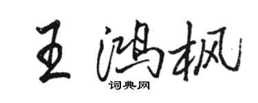 骆恒光王鸿枫行书个性签名怎么写