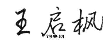 骆恒光王启枫行书个性签名怎么写