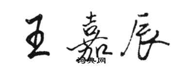 骆恒光王嘉辰行书个性签名怎么写