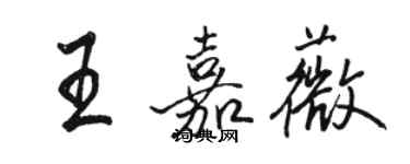 骆恒光王嘉薇行书个性签名怎么写
