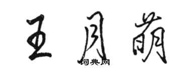 骆恒光王月萌行书个性签名怎么写