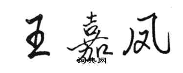 骆恒光王嘉凤行书个性签名怎么写