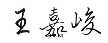 骆恒光王嘉峻行书个性签名怎么写
