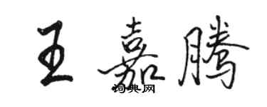 骆恒光王嘉腾行书个性签名怎么写