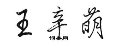骆恒光王辛萌行书个性签名怎么写
