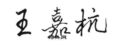 骆恒光王嘉杭行书个性签名怎么写