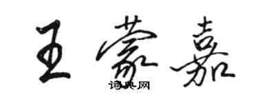 骆恒光王蒙嘉行书个性签名怎么写
