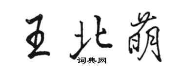 骆恒光王北萌行书个性签名怎么写