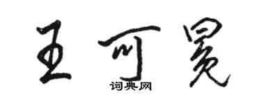 骆恒光王可冕行书个性签名怎么写