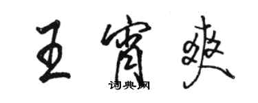 骆恒光王宵爽行书个性签名怎么写